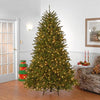 Pre-Lit Green Dunhill Fir Christmas Tree